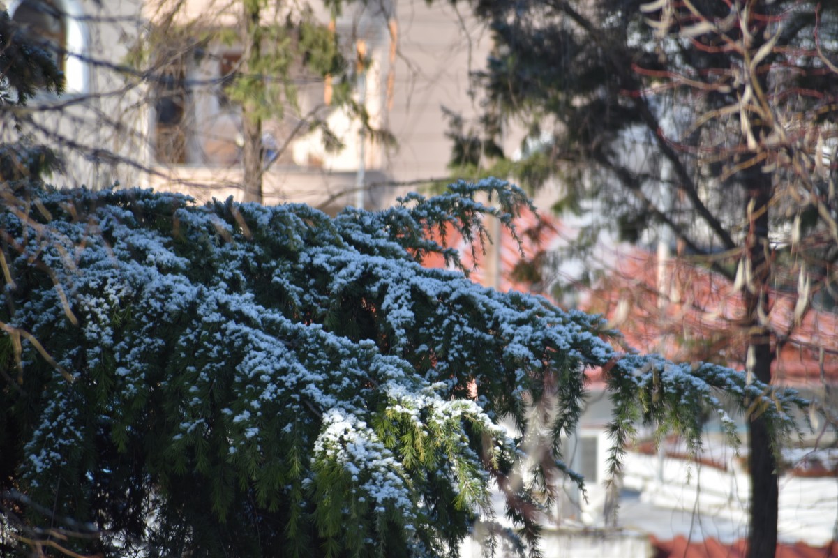 Από το πρωινό `πασπάλισμα` στο Βελεστίνο