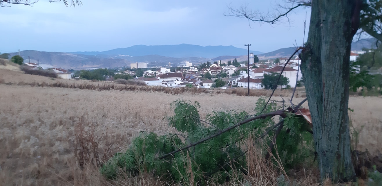 Φωτογραφία: Μουσικό Βαγόνι