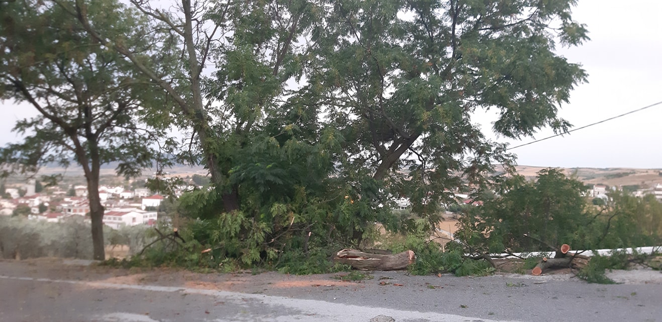 Φωτογραφία: Μουσικό Βαγόνι