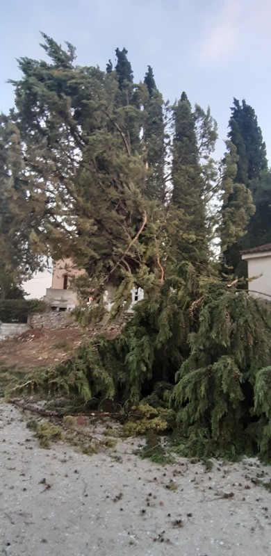 Φωτογραφία: Μουσικό Βαγόνι